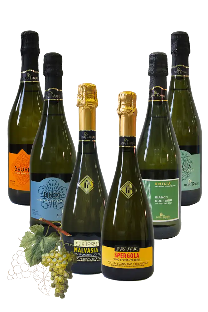 Box Bollicine Bianche
